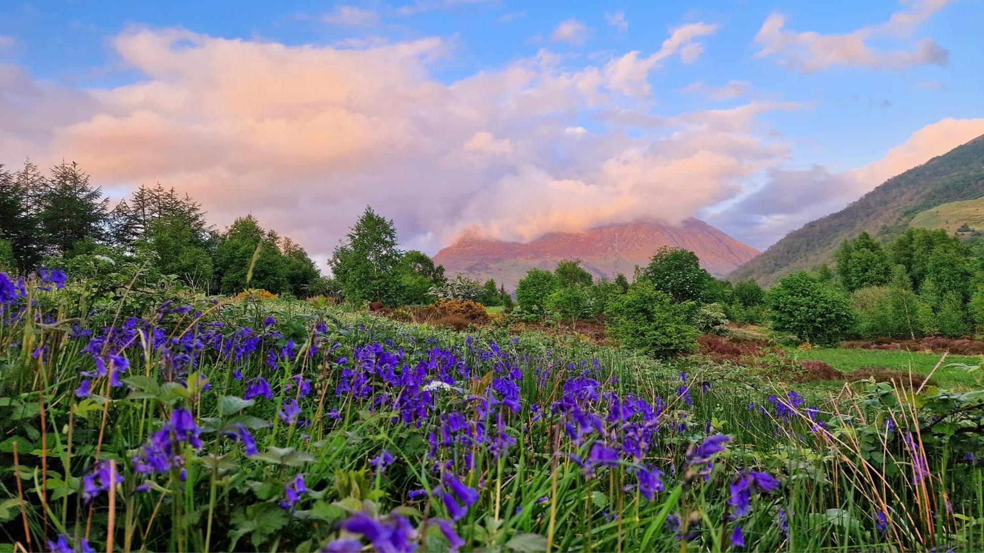 Bothan Creag Sobhrag Ballachulish Εξωτερικό φωτογραφία